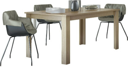 EXTENSIVE TABLE No1 150x90cm